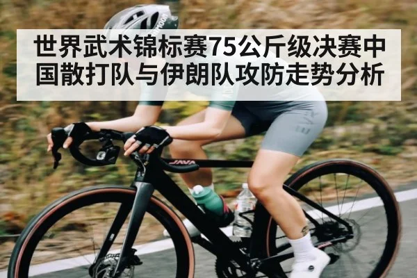 世界武术锦标赛75公斤级决赛中国散打队与伊朗队攻防走势分析