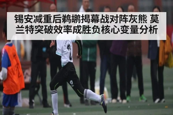 锡安减重后鹈鹕揭幕战对阵灰熊 莫兰特突破效率成胜负核心变量分析
